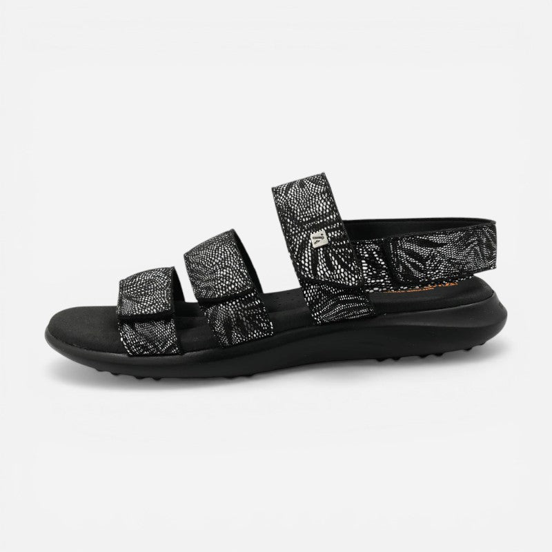 Stelvio Black Palm