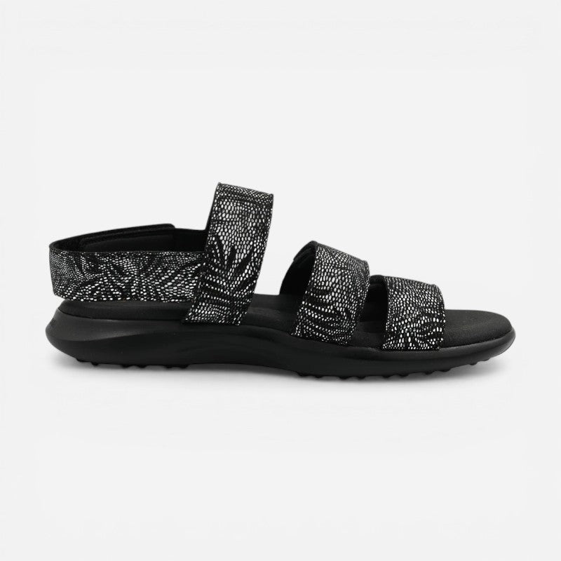 Stelvio Black Palm