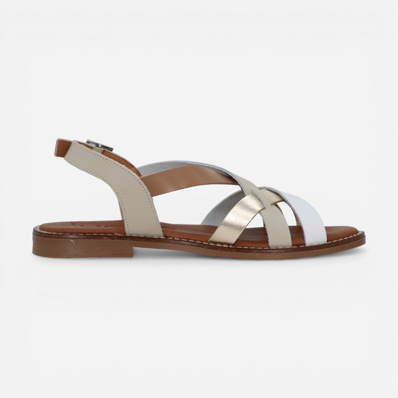 Nova Camel Multi