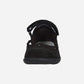 Agathis Black