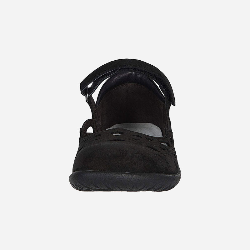 Agathis Black