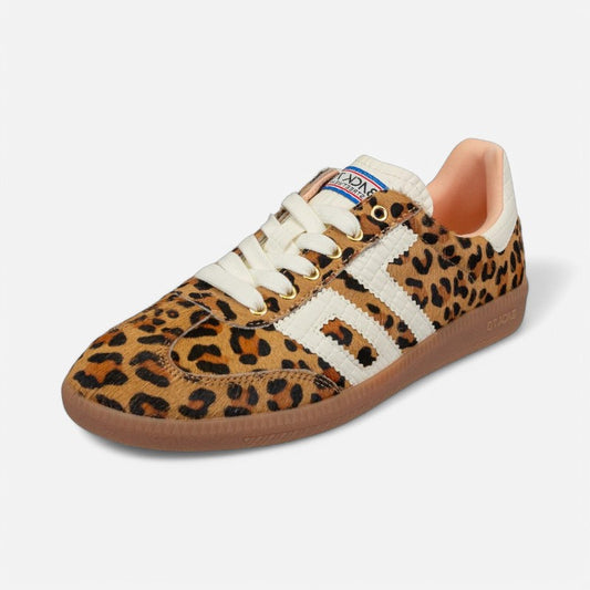 Cloud Leopard